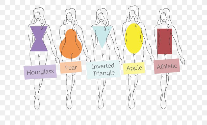 body shape calculator