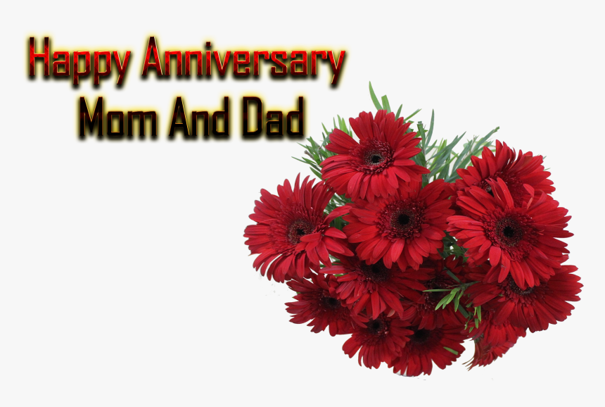 Happy Marriage Anniversary Wishes for Mummy and Papa