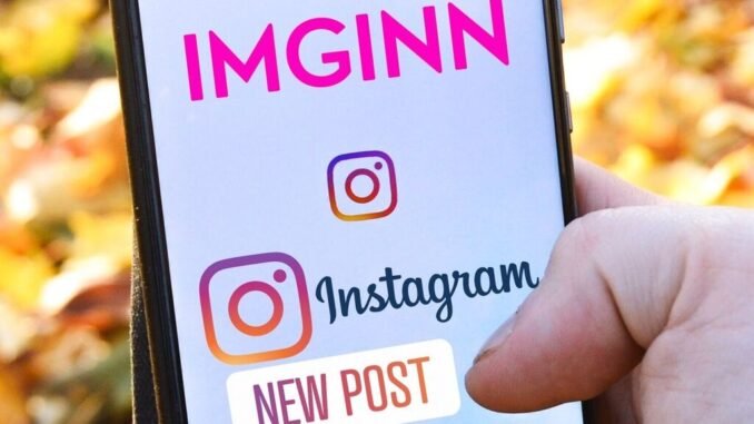 Imginn: Instantly Download Instagram Stories Highlights, Pictures, and Videos with Imginn